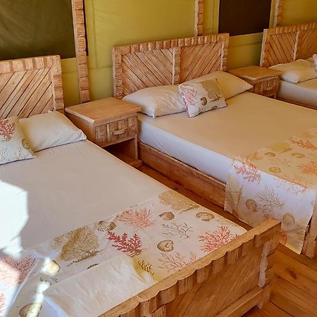 Glamping Ecolodge Cueva De Las Aguilas ペデルナレス エクステリア 写真