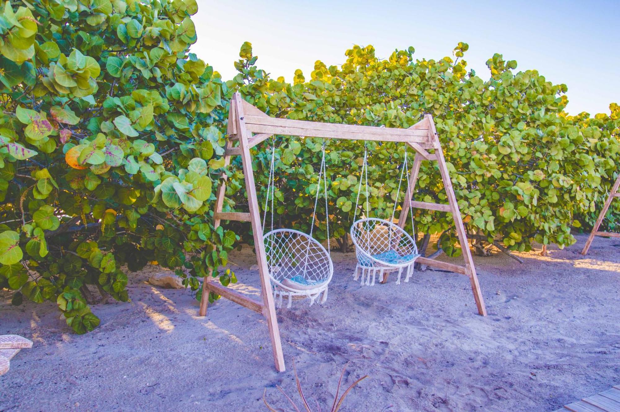 Glamping Ecolodge Cueva De Las Aguilas ペデルナレス エクステリア 写真