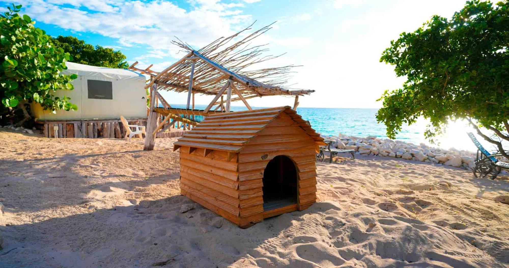 Glamping Ecolodge Cueva De Las Aguilas ペデルナレス エクステリア 写真