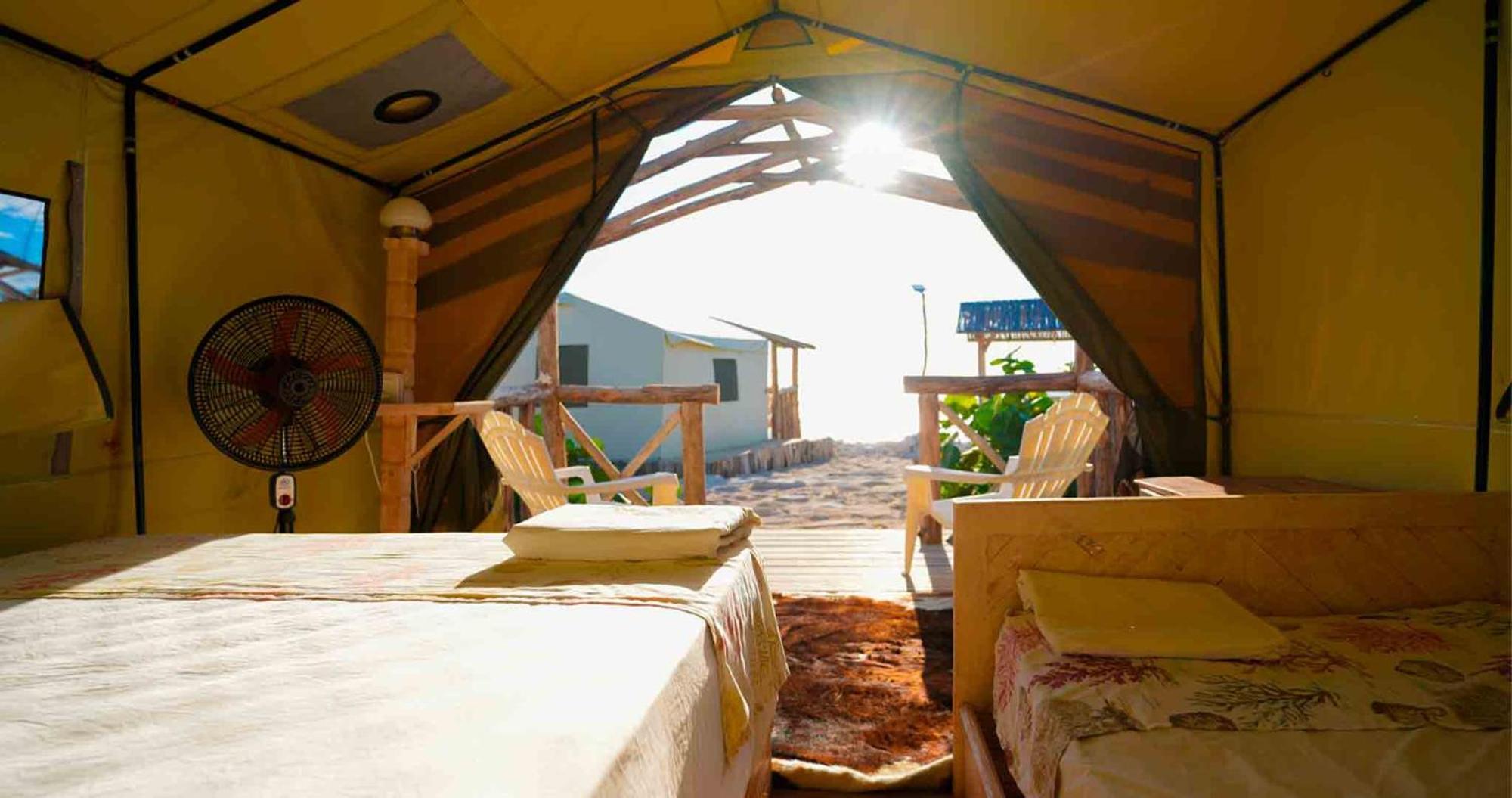 Glamping Ecolodge Cueva De Las Aguilas ペデルナレス エクステリア 写真